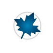 Maple_log